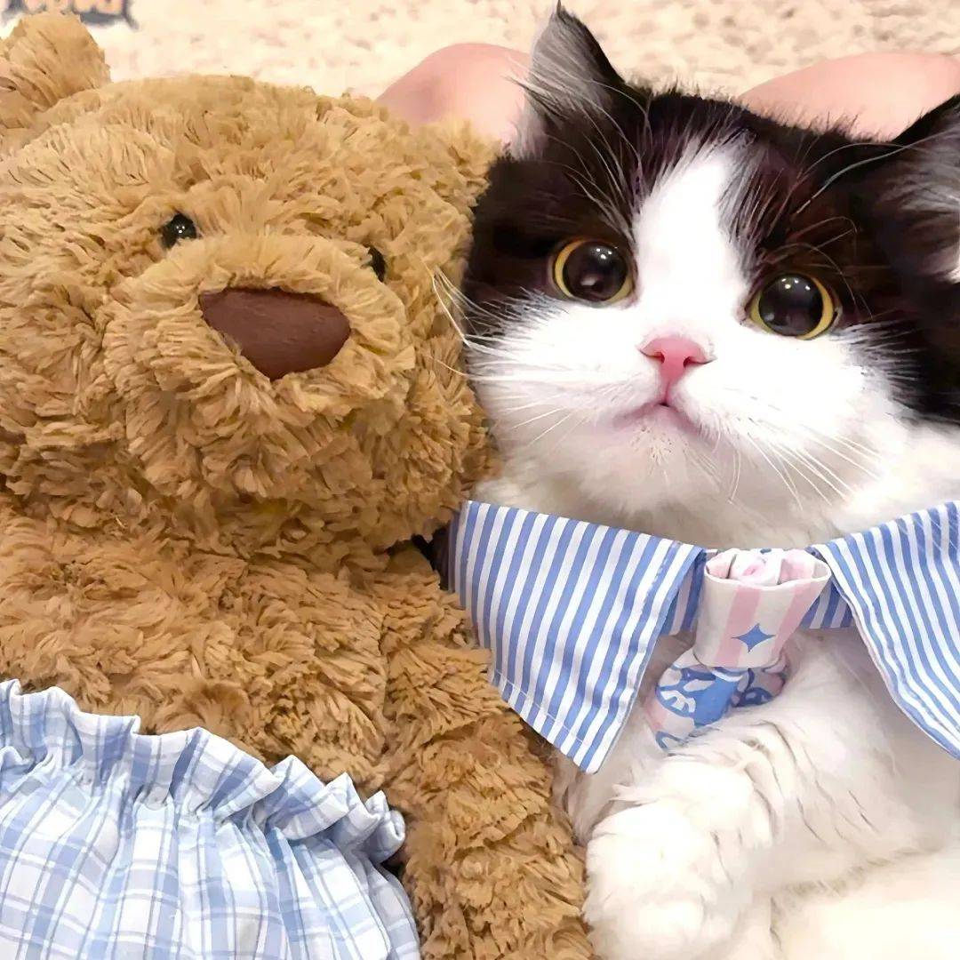 情头丨超甜蜜的情头