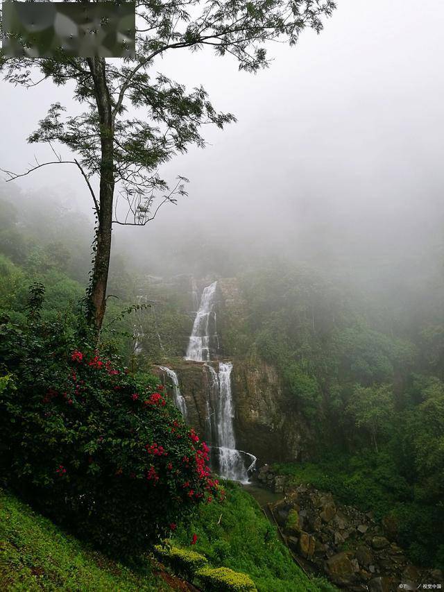 安远三百山旅游景点图片