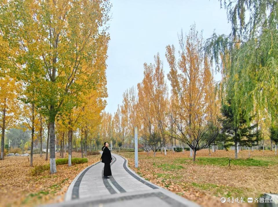 章丘区林荫公园,爱拍照的美女
