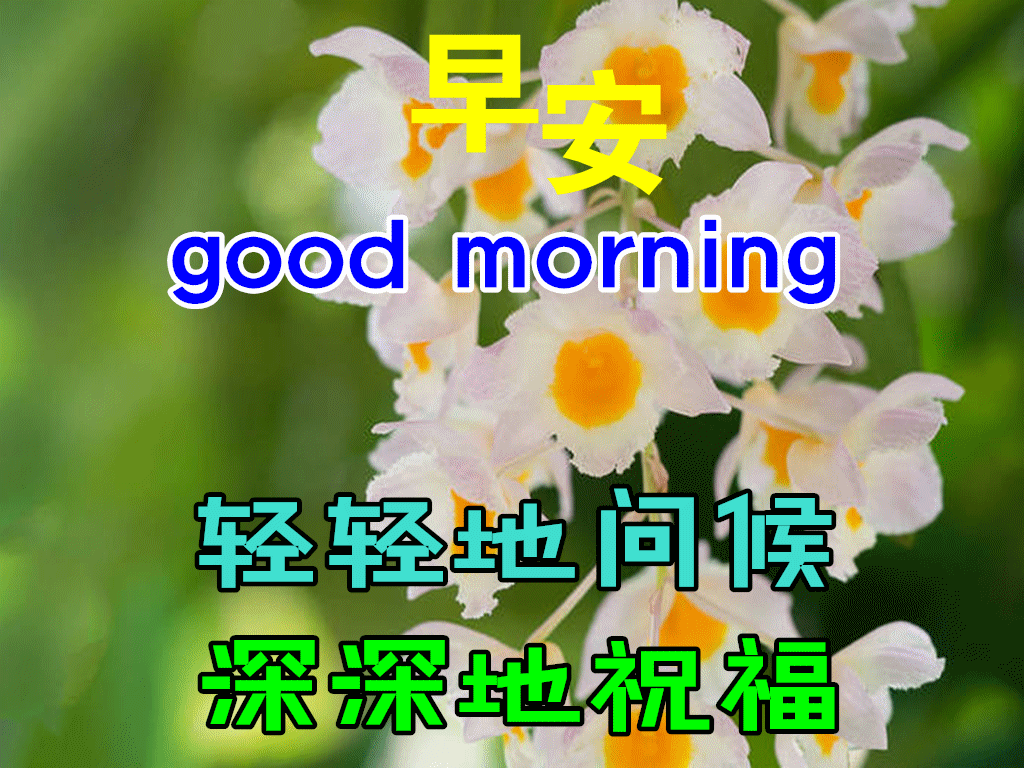 11月17日早上好动态表情图片及早晨好动图美图大全 什么是真正的富人