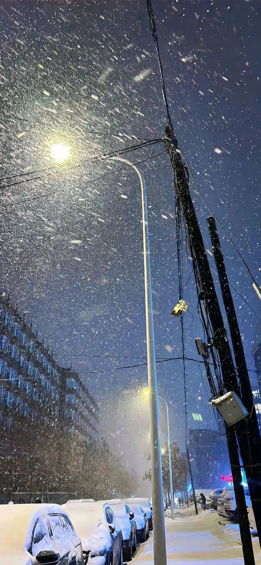 13分钟【深度解读】不灭孽蜥与人类的首次攀谈。。。