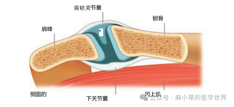 关节突交锁图片