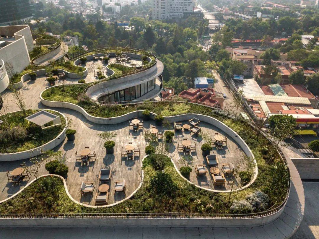 弯曲住宅环绕的屋顶花园pedre/jsa and mta v