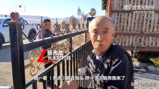 虎口脱险老人谈邻居被老虎咬伤：老虎就在地头，老大了！