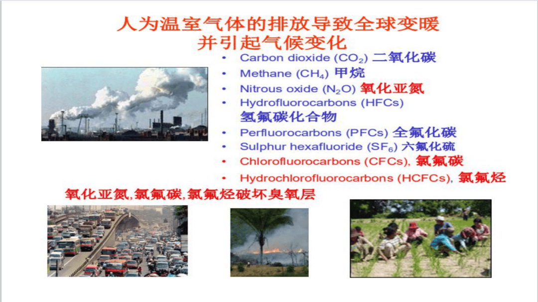 什么是碳汇?一文读懂什么是碳排放权、碳排放配额、CCER、碳排放权交易。什么是碳资产?_气体_温室_森林