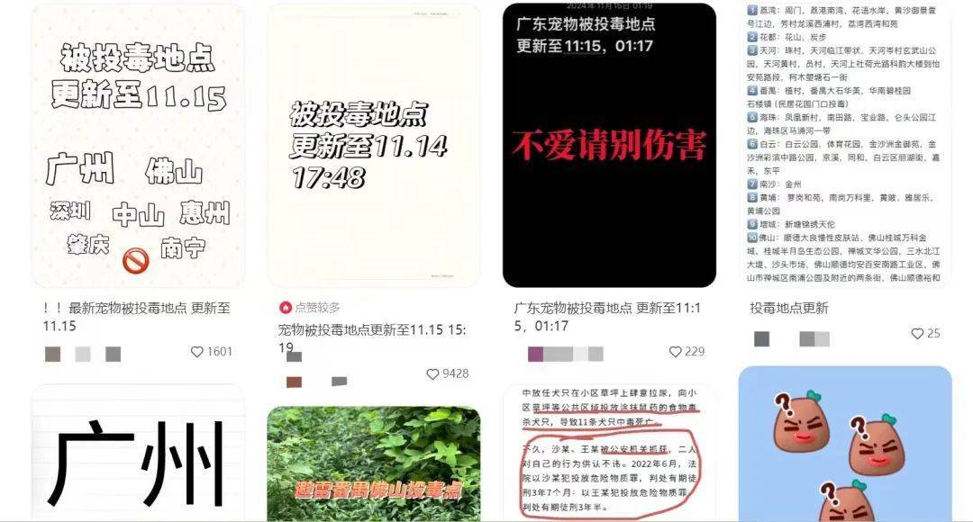 网友疑似抓到给宠物狗投毒女子-是宠网