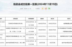 成都土拍丨四宗地底价成交 新希望再入十陵_地块_板块_项目