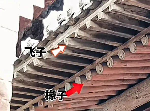 古建筑中椽木的分类与安装、大小连檐、撩檐槫!_椽子_构件_屋面
