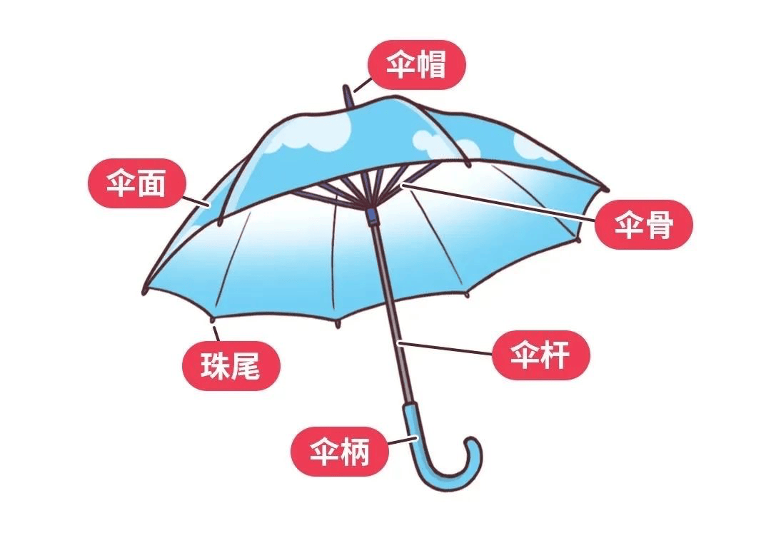 伞的想象和联想图片