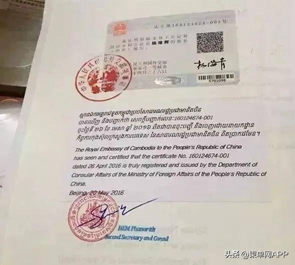 建议收藏!在柬埔寨换新驾照,看这篇攻略就够了