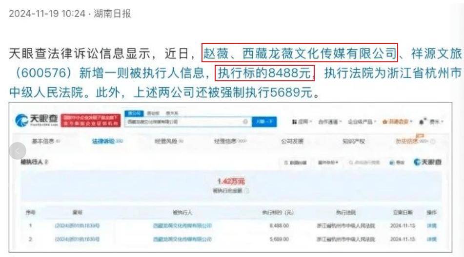 侮辱性极强 赵薇 伤害性不大 被强制执行8488块！网友