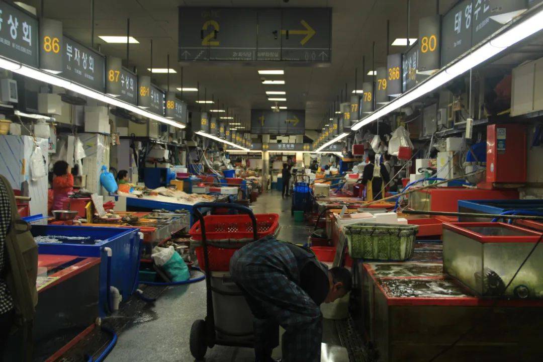 图片[10]-旅缩力拉满的亚洲国家，这座海边小城除外 -华闻时空