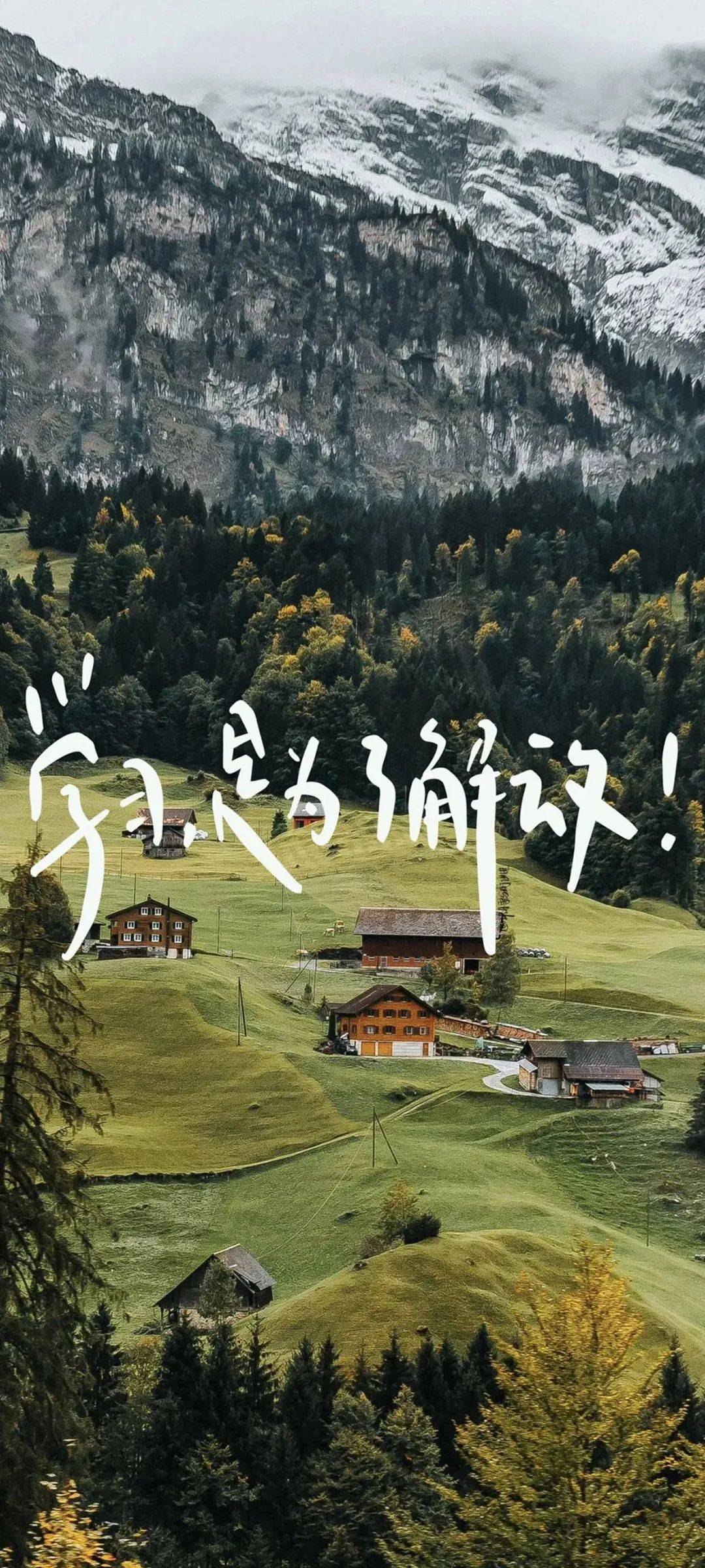高中生唤醒壁纸
