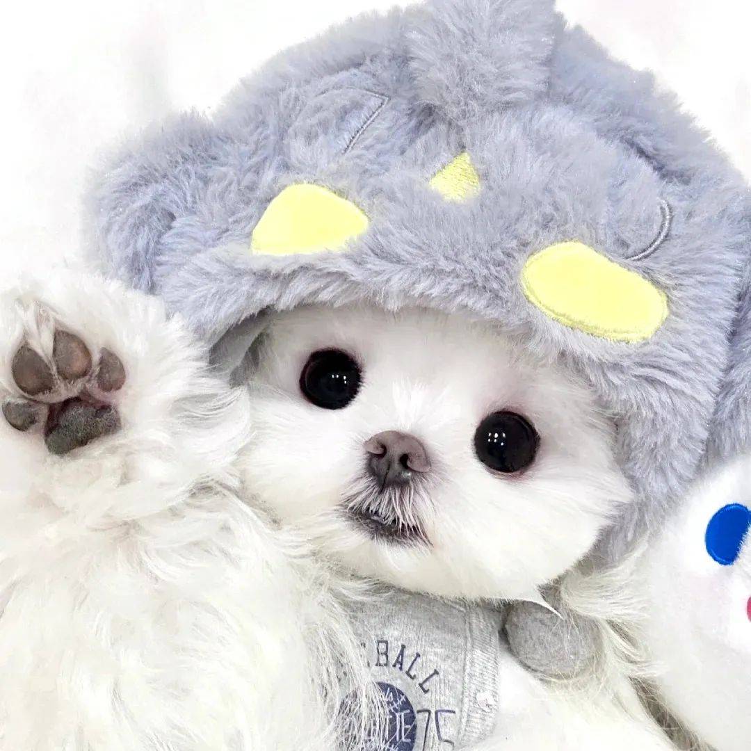 头像丨能用很久的微信头像