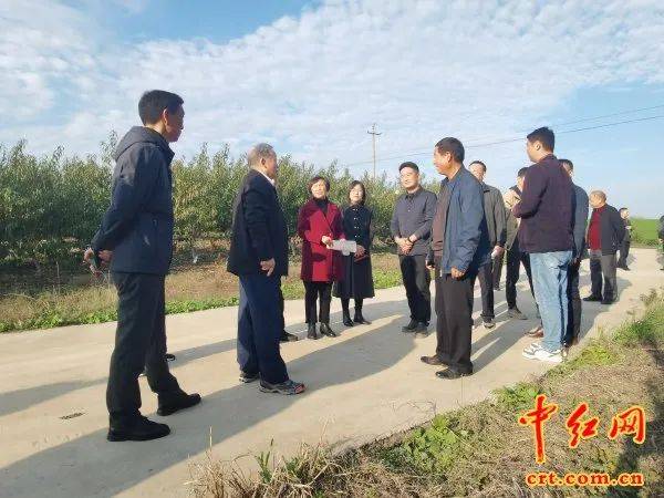 11月22日,湖北省老促会常务副会长兼秘书长刘源超,副会长汪元良等领导