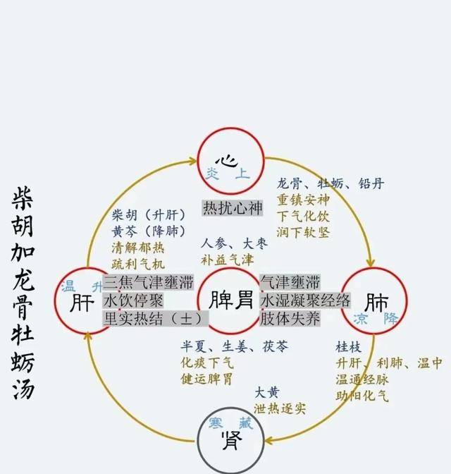 原创柴胡龙骨牡蛎汤，心理疾病的常用方，改善失眠、癫痫、老年痴呆症