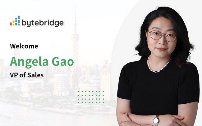 瑞技科技任命高静瑜（Angela Gao）为销售副总裁，助力中资企业出海与数据中心市场拓展