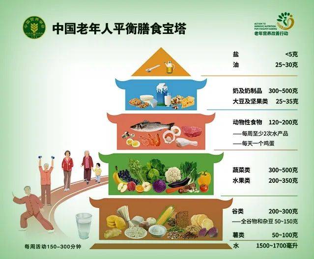 膳食宝塔食物2021图片