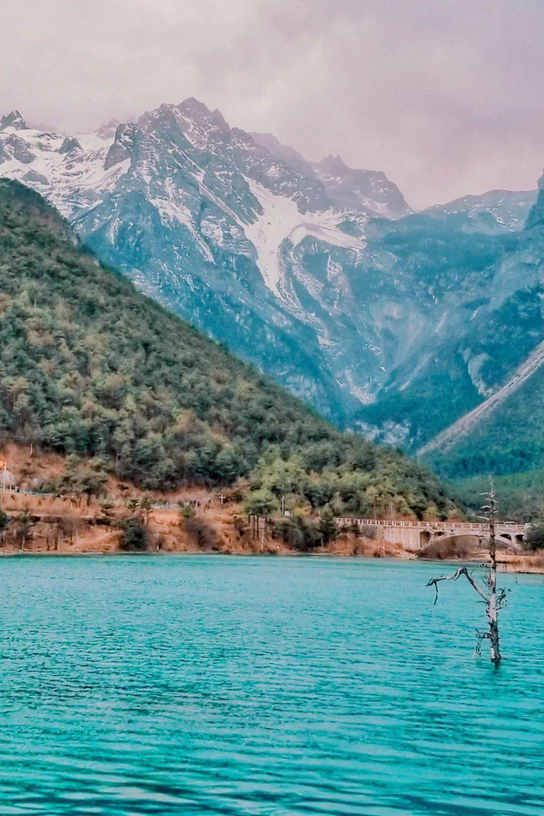 图片[43]-十二月最佳旅行地非它莫属，看银杏逛古城吃美食，现在去正好！ -华闻时空