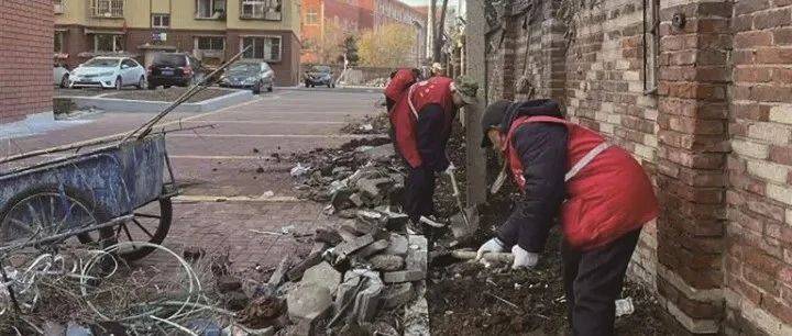 钢都爱心使者在行动｜老党员志愿者齐动手 卫生死角变景观带