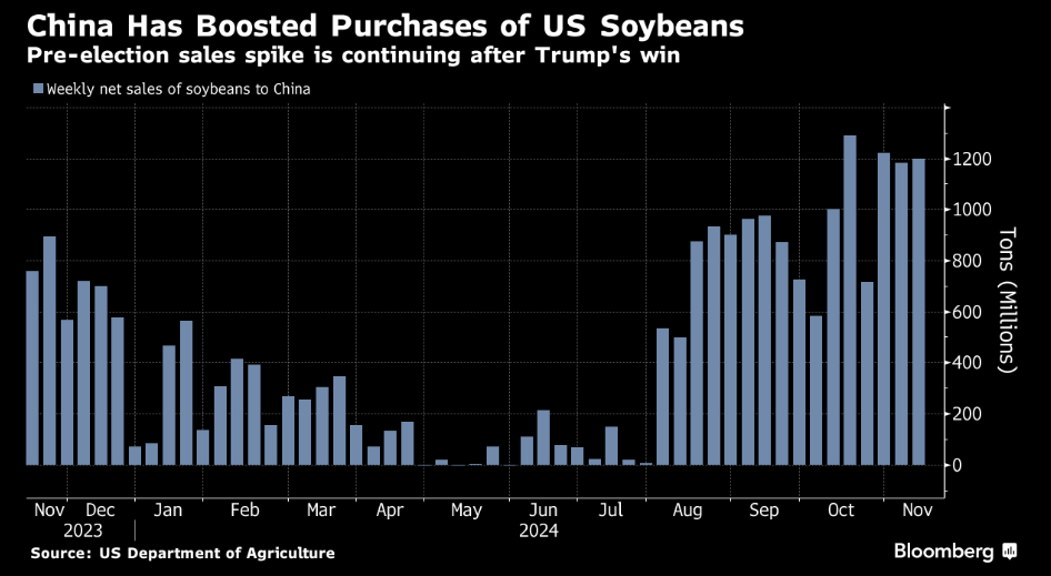 外媒：美國大選以來，中國繼續(xù)購買美國大豆