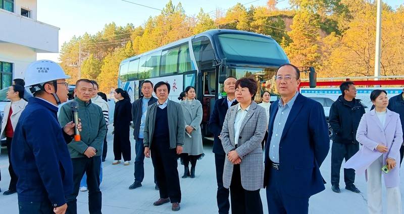 新田县政协调研桂新高速公路建设工作_刘家桥_项目_相关