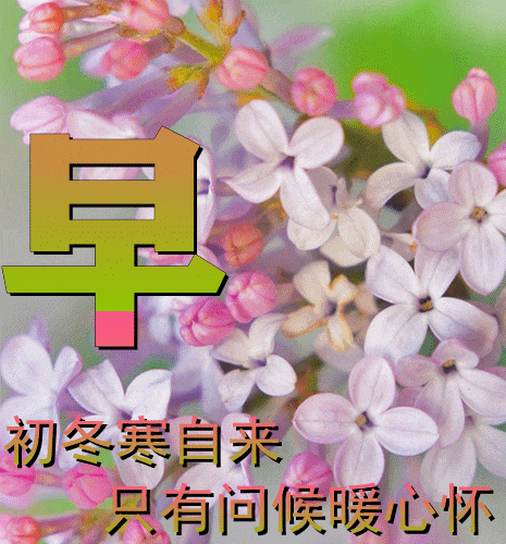 11月28日最漂亮早上好动态表情图片大全,早晨好动图美图大全