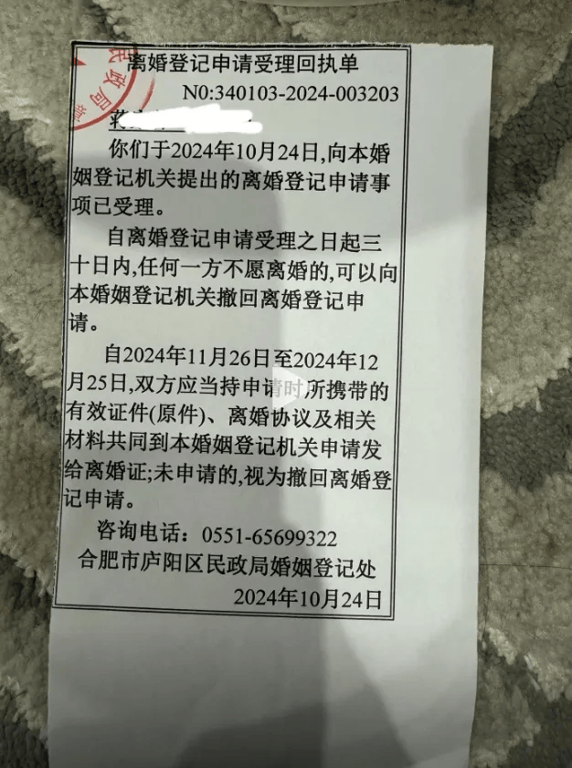 请受理回执单》，该回执单的落款为“合肥市庐阳区民政局婚姻登记处”。
