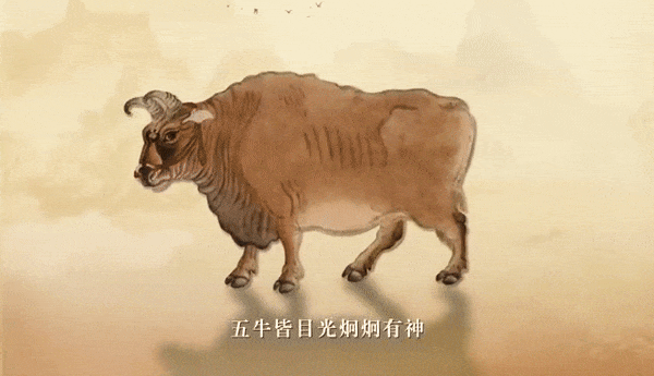 五牛皆目光炯炯,深邃传神 "点睛"是牵动全画的关键 动态十足 或俯首