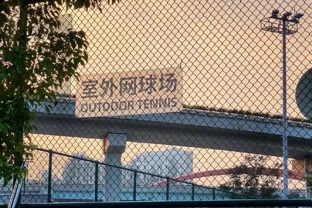 “搶不到！根本搶不到！”上海這群人急煞：想要的都在他們手里！