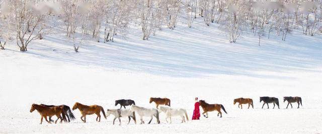 图片[15]-一路向北去看雪，6大赏雪胜地不可错过！国内雪景天花板都在这！ -华闻时空