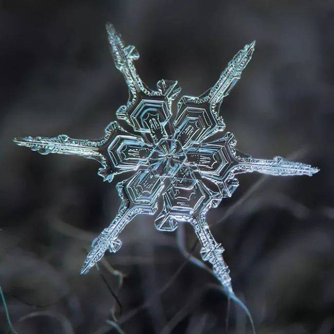 雪花放大一亿倍图片