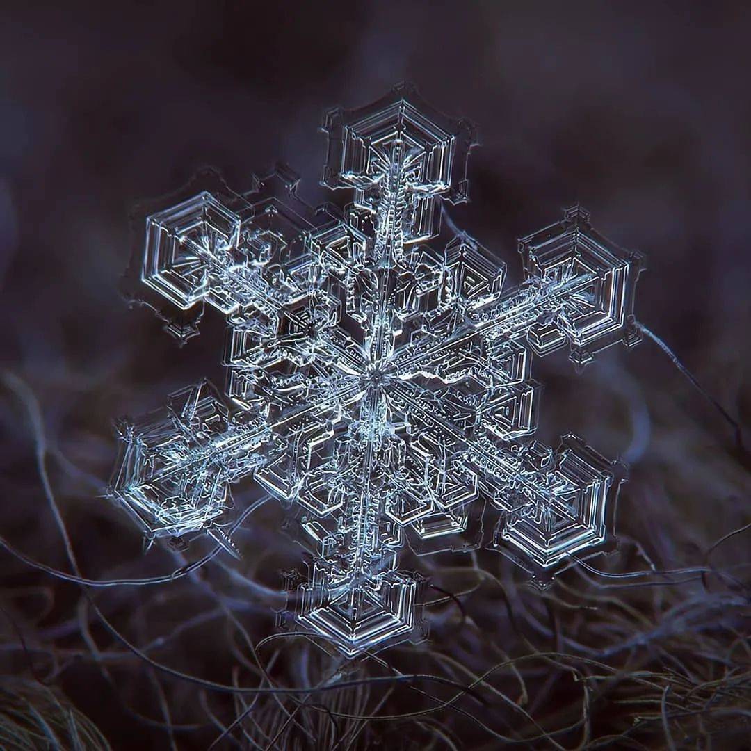 雪花放大一亿倍图片