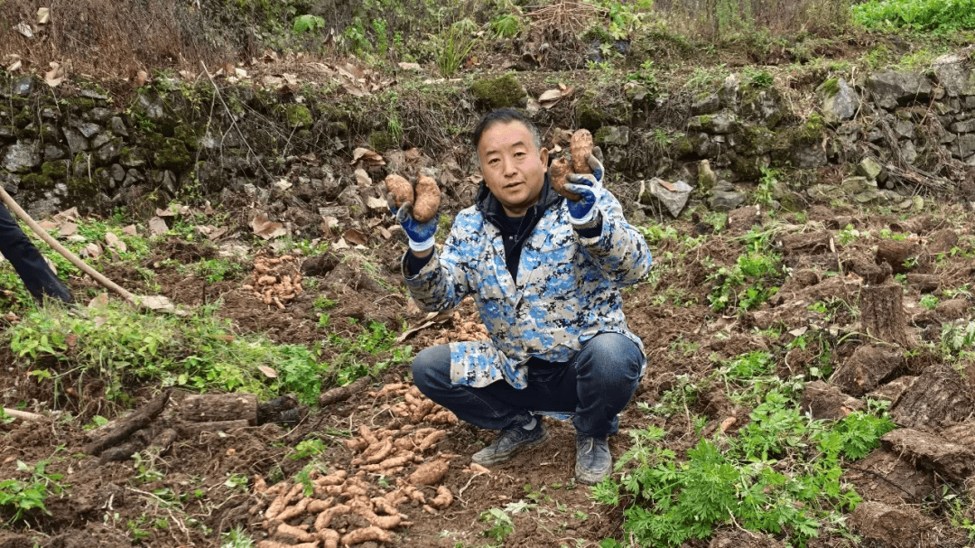 泛亚电竞app茶艺争雄评茶逐鹿五峰多人获奖→(图1)