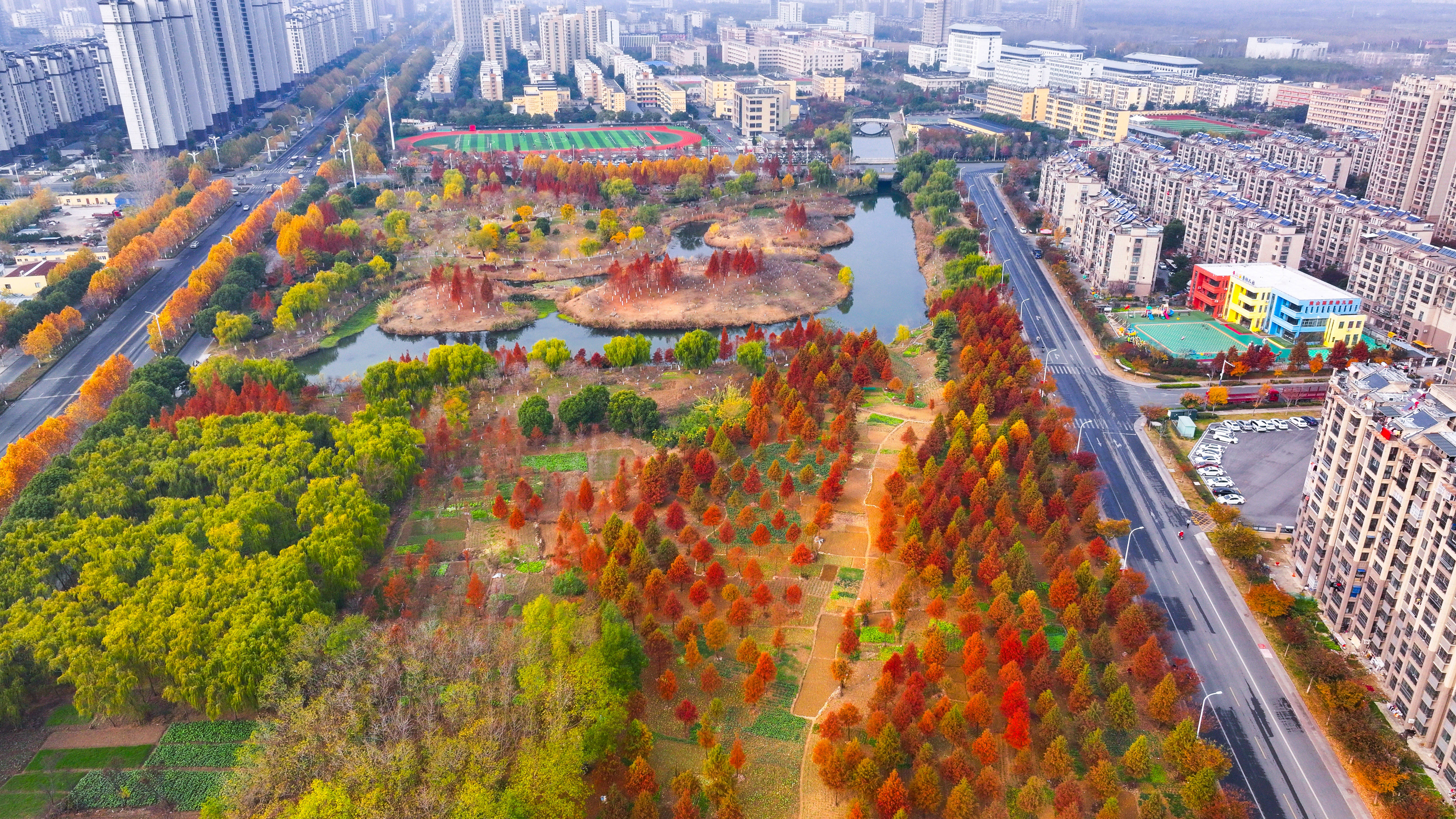 泗洪桃花岛风景区图片