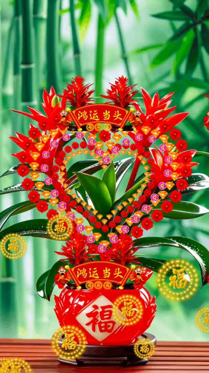 鸿运当头红红火火