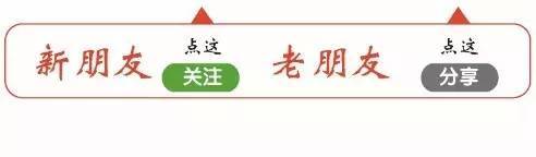【专业】斜视的影像学检查技术—《斜视的影像学检查》(图5)
