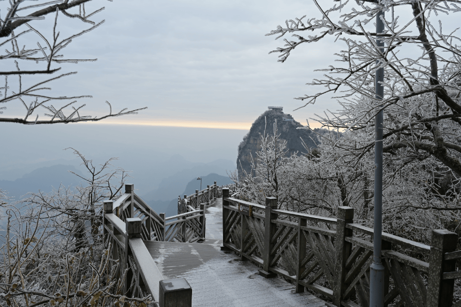 多图来袭！张家界雪后初晴，雾凇同框金色天际线                