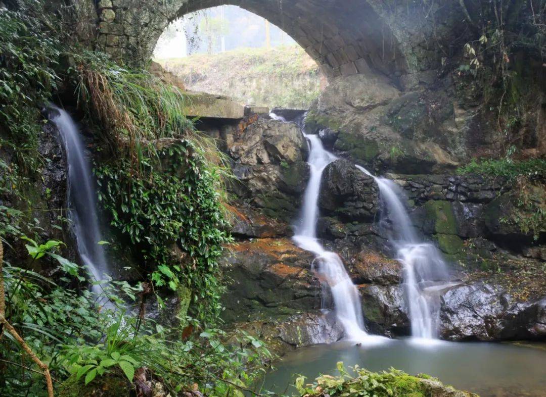 长寿之乡江西铜鼓石桥村:生态美,文旅兴,魅力足!