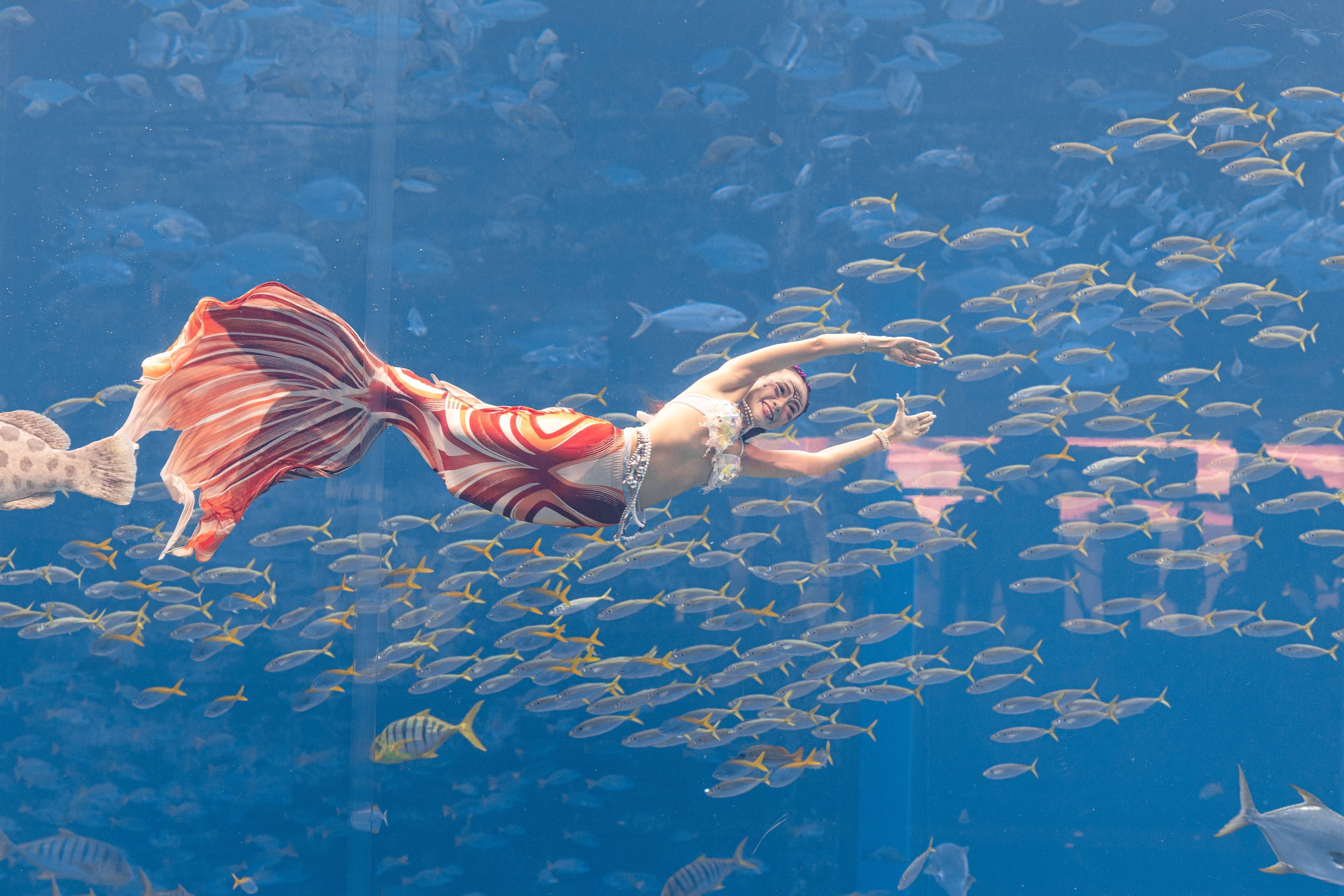 美人鱼_比赛_表演