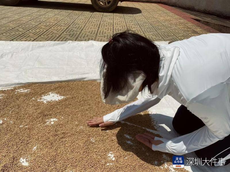 深圳姑娘最敢闯：“我在非洲种水稻， 年底回国就闪婚”