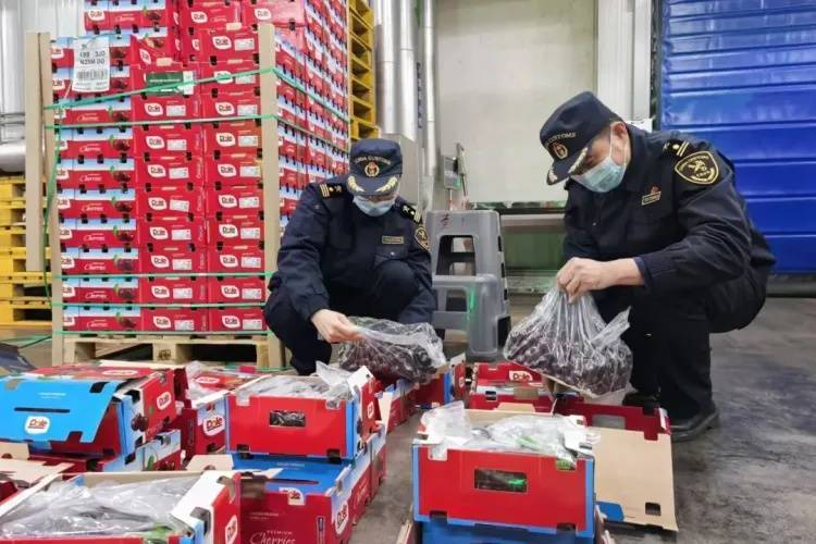 “断崖式”降价!超万吨直达广州,网友:等不及了 “断崖式”降价!超万吨直达广州,网友:等不及了