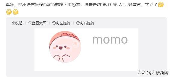 大量用户名叫“momo”，这届年轻人尝试用算法打败算法