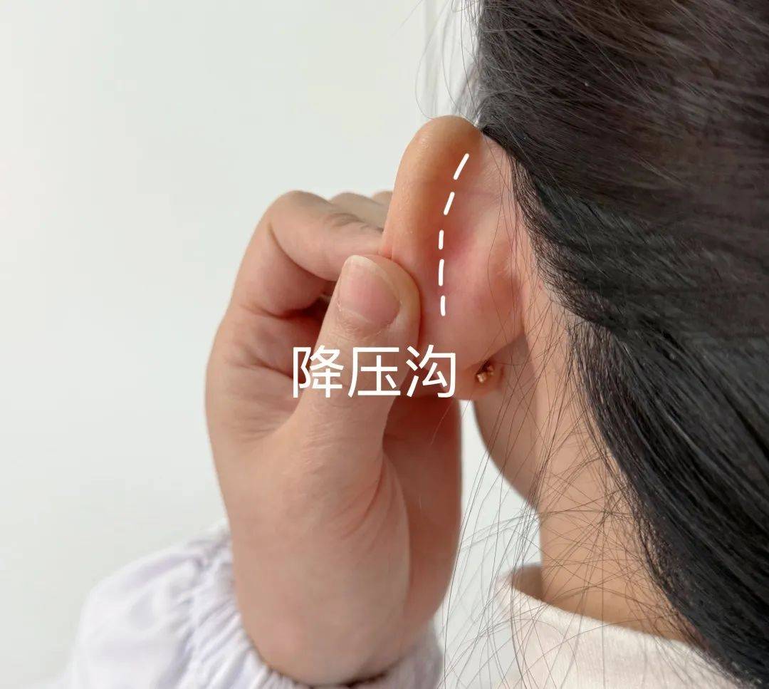 耳朵上藏着一条"降压沟"!每天按揉,稳定血压更轻松