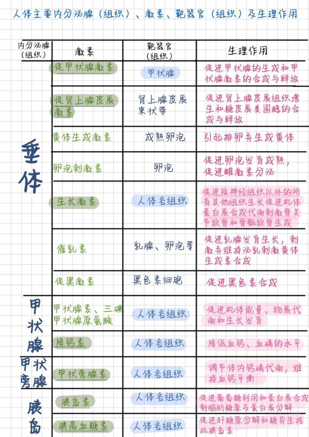 内分泌系统组成示意图图片