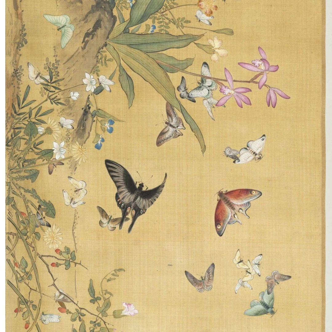 《百蝶图》——千姿百态的蝴蝶仙子_余省_色彩_影像