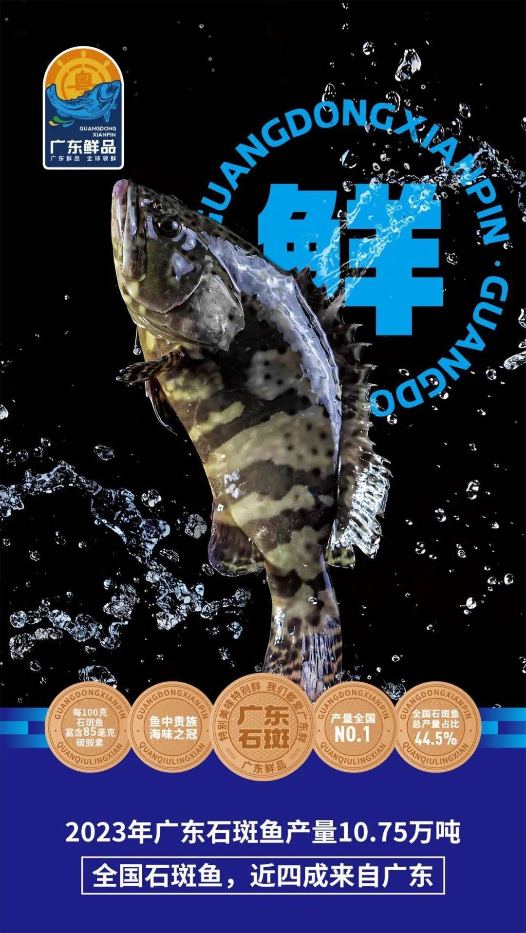 海的味道石斑鱼带回来了
