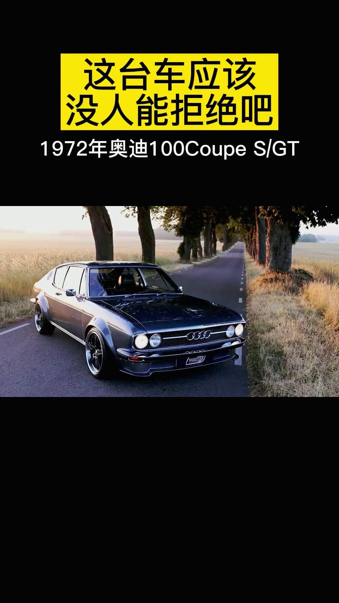 奥迪100coupe s GT图片