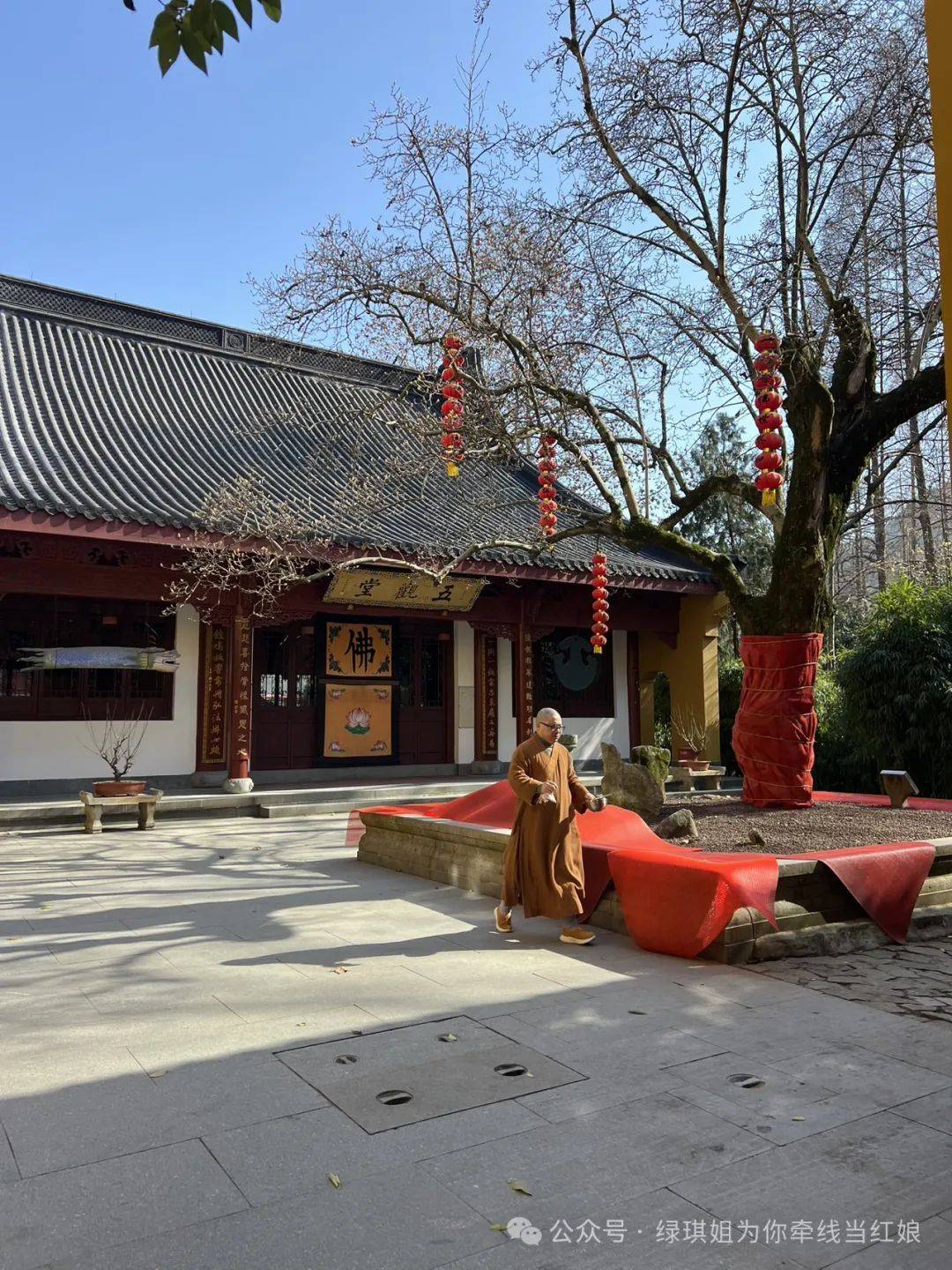 新年祈福吃斋饭爬山农家喝茶活动总结