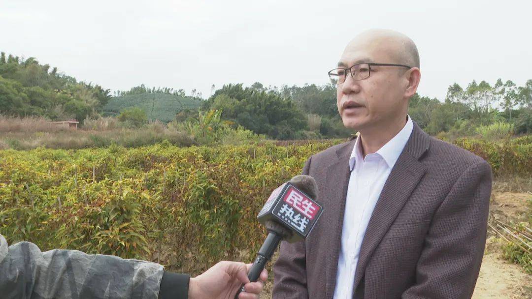 葵潭镇_北山埔_东莞